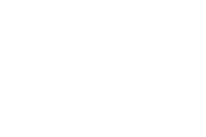 Logo Lokalnej Grupy Działania - Zielone Bieszczady